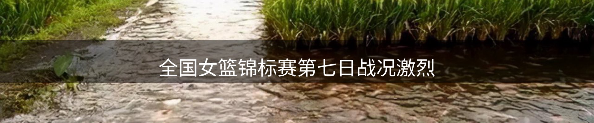 品牌资讯