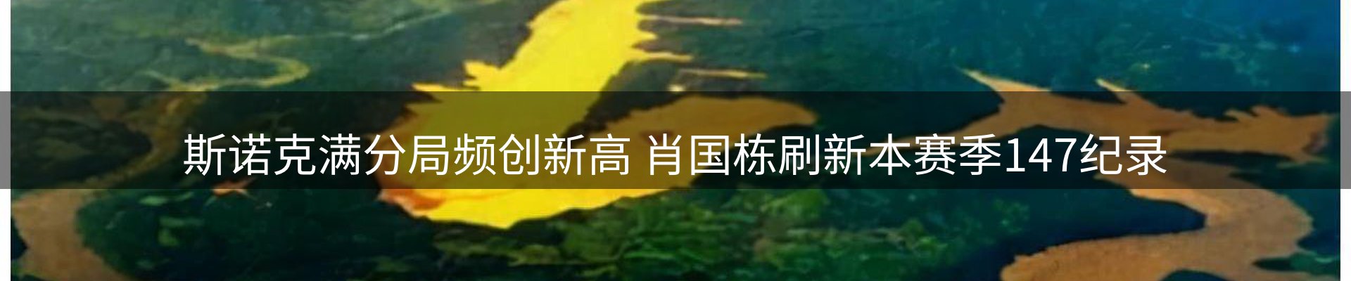 品牌资讯