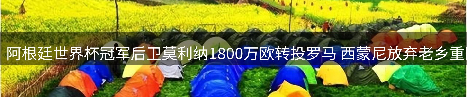 品牌资讯