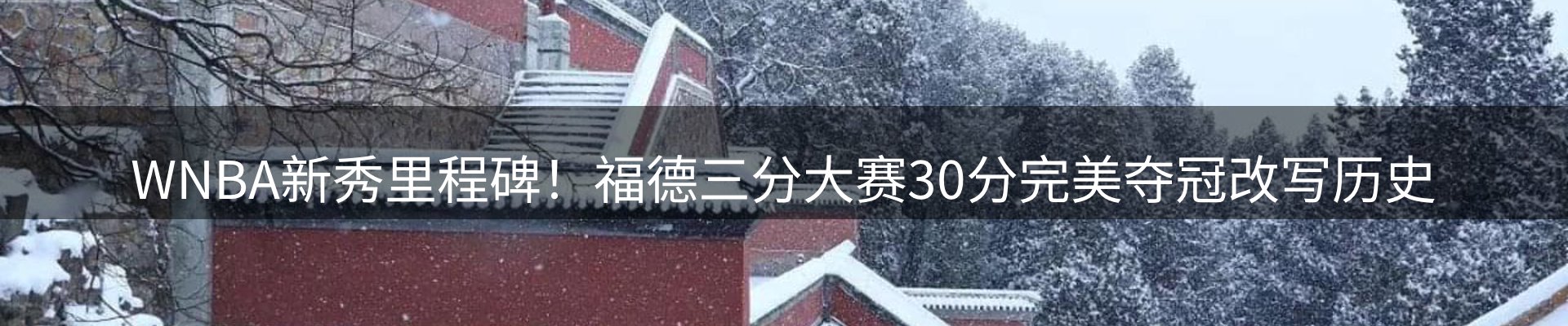 品牌资讯